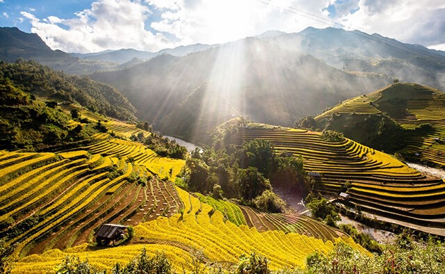 September is the beginning of the harvest season in Sapa Vietnam, so this is a great opportunity for you to see the terraced fields of