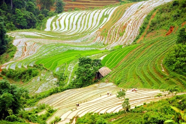 Many people come to Sapa Vietnam in the Spring and then come back the following year, perhaps they remember... every corner of the forest, every branch of grass,