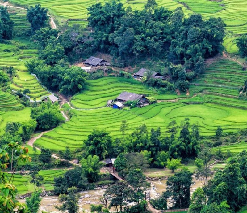 Sapa Vietnam in July also has a youthful green color full of vitality. Every road we pass is filled with fresh, lush grass and trees. Here this season,
